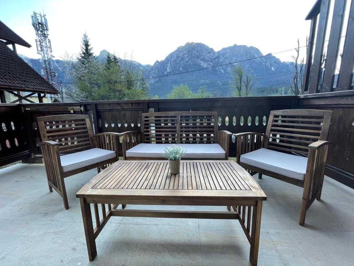 Castle Residence Apt. Zamorei Buşteni Dış mekan fotoğraf