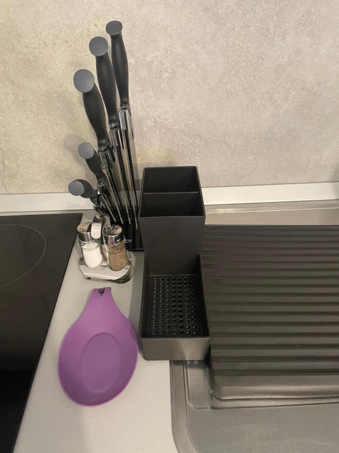 Castle Residence Apt. Zamorei Buşteni Dış mekan fotoğraf