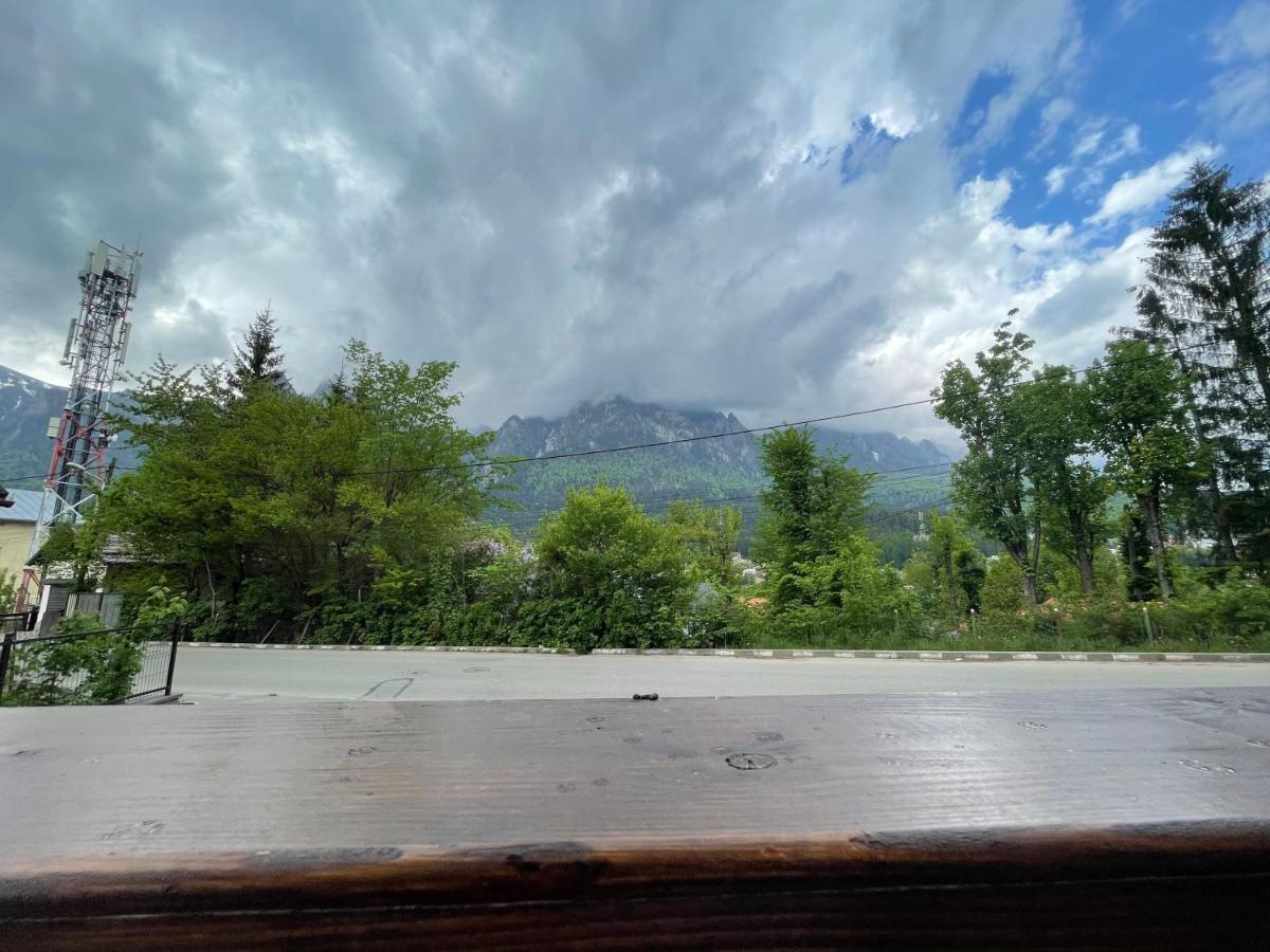 Castle Residence Apt. Zamorei Buşteni Dış mekan fotoğraf